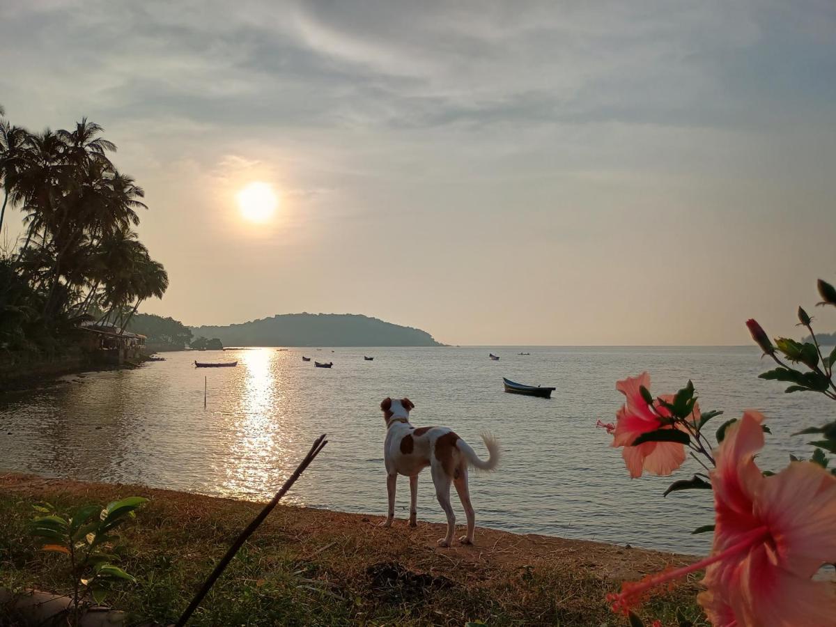 Gs Home On The Bay - Sea & Forest View Glass Studio Vagator Ngoại thất bức ảnh