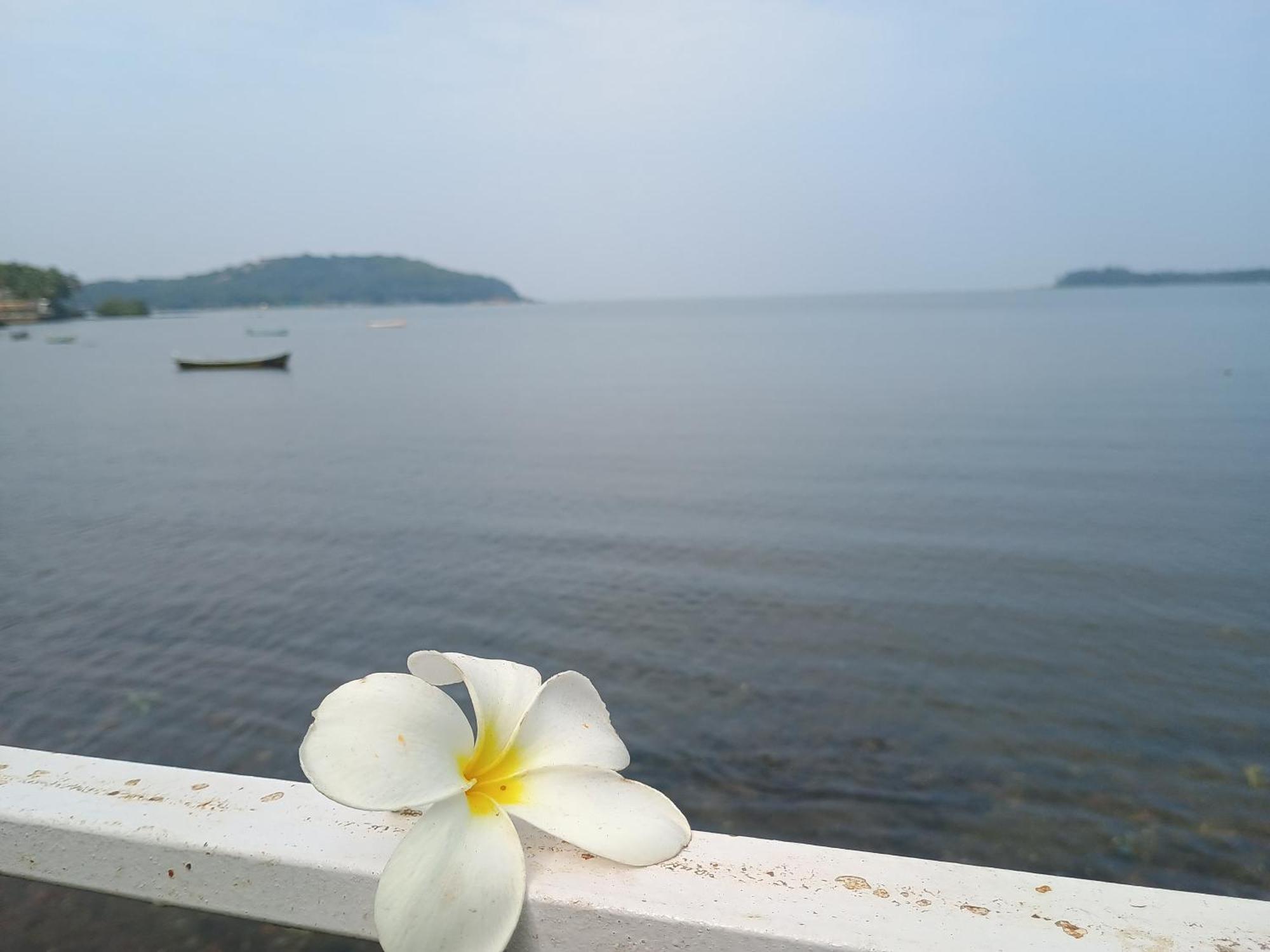 Gs Home On The Bay - Sea & Forest View Glass Studio Vagator Ngoại thất bức ảnh